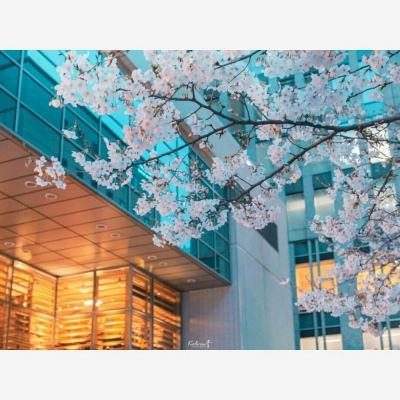 Bsport体育在线官网